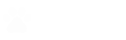 Kohtla-Järve Loomade Varjupaik Grey Dogs