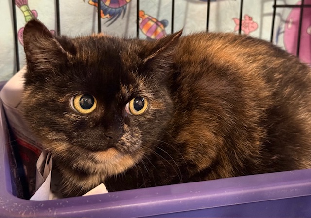 5680 broneeritud 5680 broneeritud