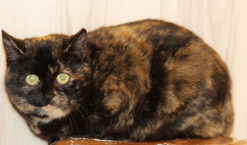 5680 broneeritud 5680 broneeritud