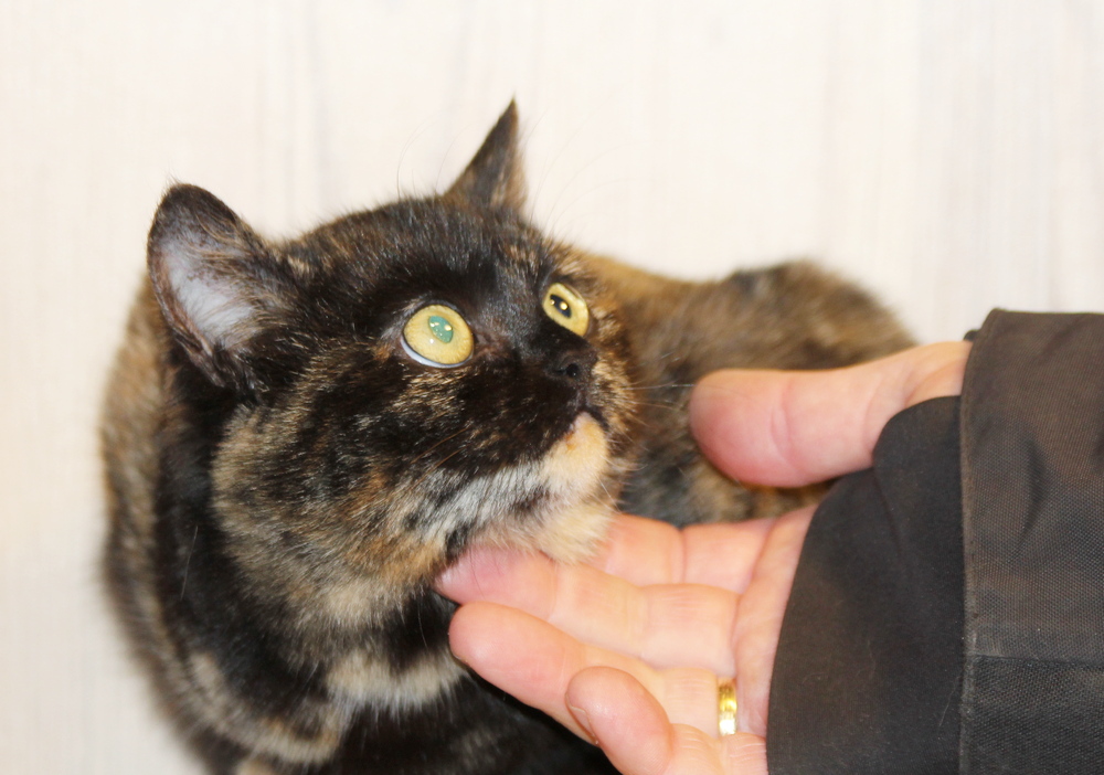 5680 broneeritud 5680 broneeritud