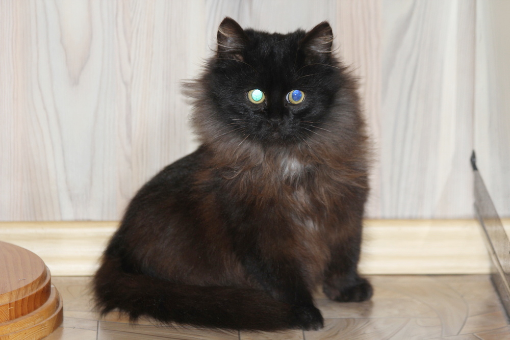 5681 broneeritud 5681 broneeritud