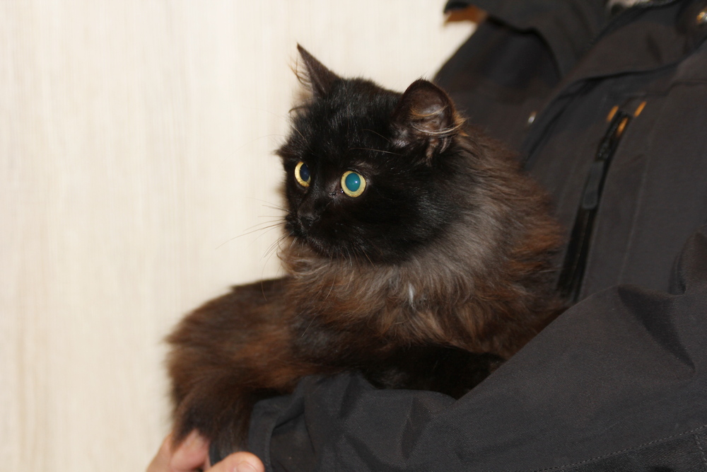 5681 broneeritud 5681 broneeritud