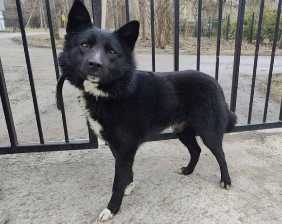 2520 broneeritud 2520 broneeritud