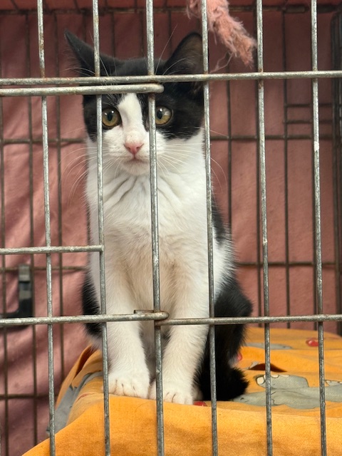 5829 5829